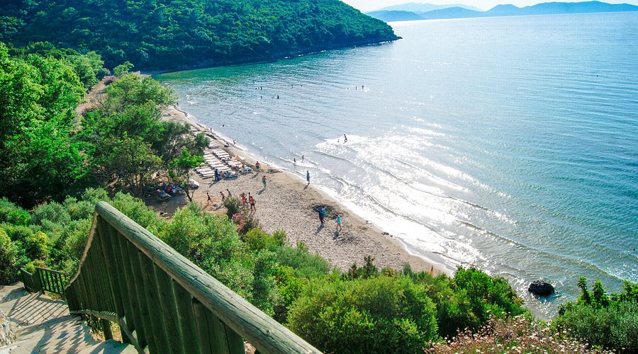  İzmir Havalimanı'ndan Güzelçamlı ve Davutlar’a Shuttle ve Özel Transfer