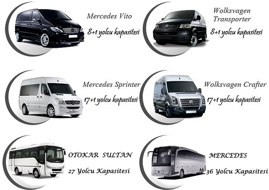 Shuttle or Private Transfer? Which One Is Right for You?