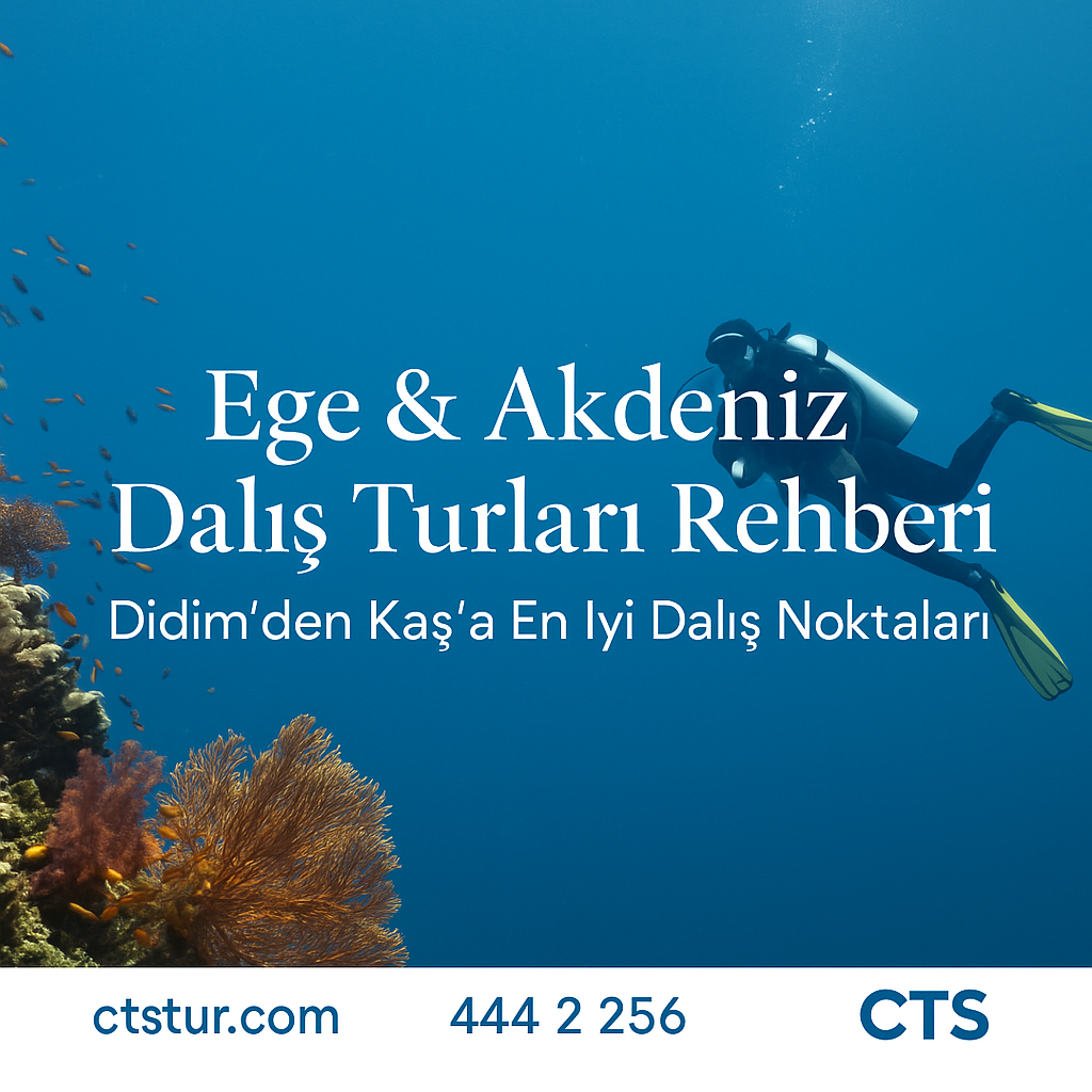 Ege & Akdeniz Dalış Turları Rehberi: Didim’den Kaş’a En İyi Dalış Noktaları