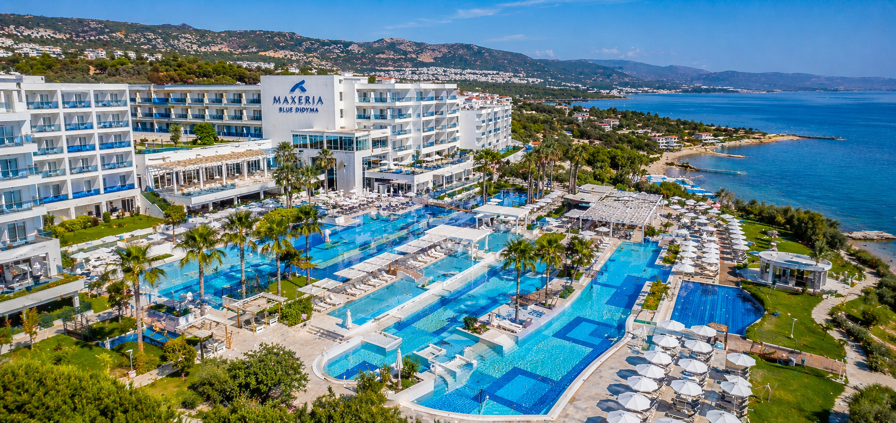 Maxeria Blue Didyma.